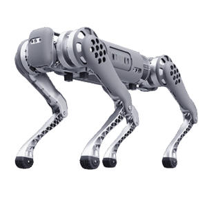 Robodog robot rental for students to learn more about robots