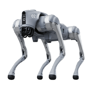 Robodogs robot rental for events and entertainment