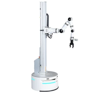 Single Arm Lifting Compound Robot