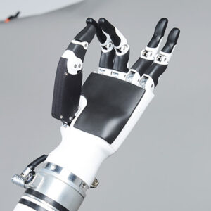 Realman Dex. Hand (RM56S2B) 2L/2R