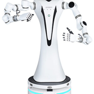 Realman Dual Arm Compound Robot