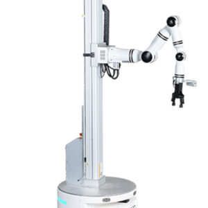 Realman Compound Lifting Robot
