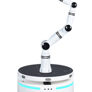 Realman Compound Robot